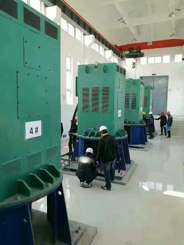 阿勒泰某污水处理厂使用我厂的立式高压电机安装现场